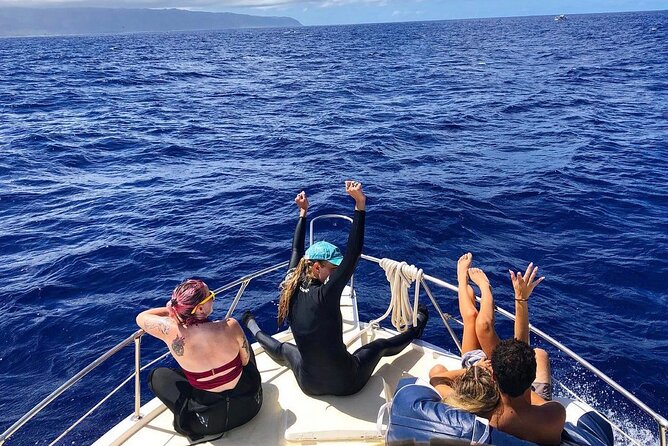 Oahu Shark Dive Educational Tour (No cage) - How the safety team runs the swim with no cage
