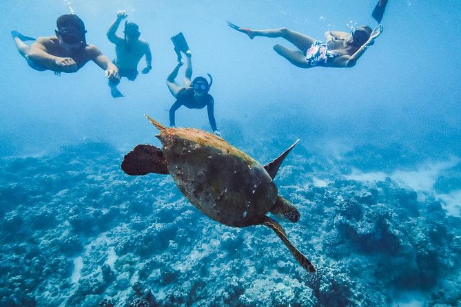 Oahu Small Group Snorkel Tour with Yacht Cruise - Lunch and the open bar: why this onboard meal feels worth the money