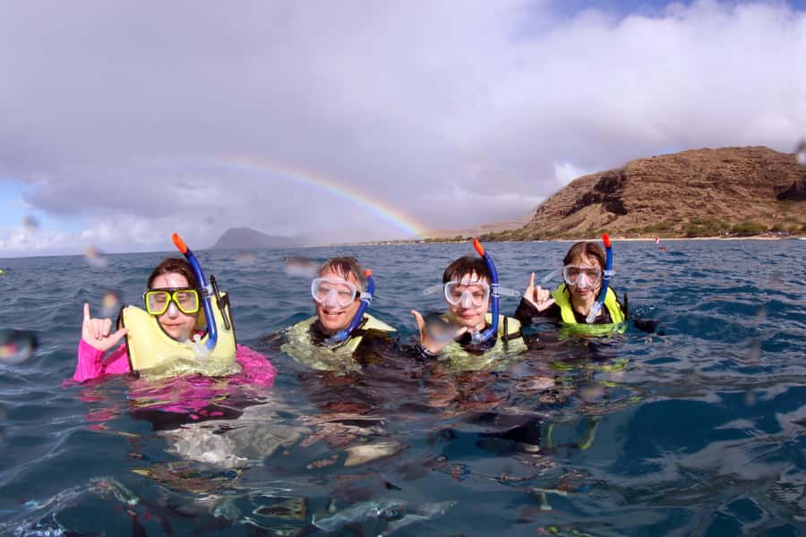 Oahu: Snorkeling & Dolphin Watch Cruise w/ Luau Style Buffet - Key Things I’d Pay Attention To