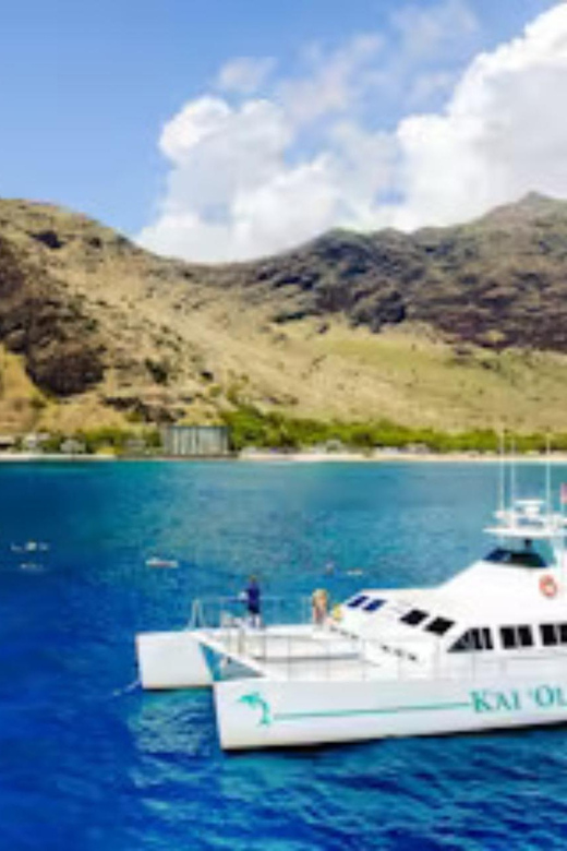 Oahu: Snorkeling & Dolphin Watch Cruise w/ Luau Style Buffet - Who This Cruise Suits Best (and Who Might Rethink It)