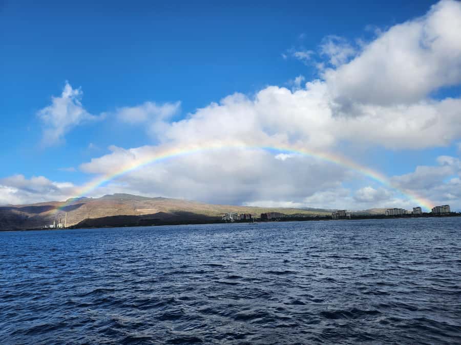 Oahu: Snorkeling & Dolphin Watch Cruise w/ Luau Style Buffet - Why the Waianae Coast Catamaran Ride Feels Like the Main Event