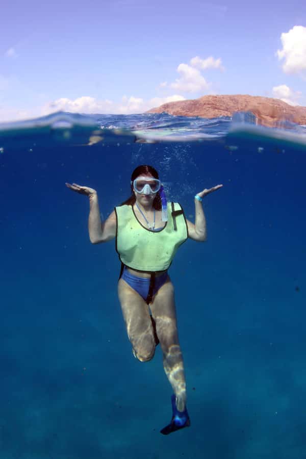 Oahu: Snorkeling & Dolphin Watch Cruise w/ Luau Style Buffet - Dolphins and Whales: What the Guarantee Covers and Seasonality Still Plays a Role