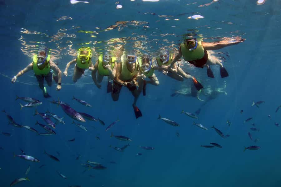 Oahu: Snorkeling & Dolphin Watch Cruise w/ Luau Style Buffet - The Luau-Style Buffet and Tiki Bar Drinks: Real Value After You Swim