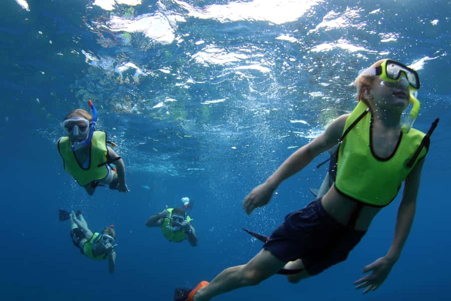 Oahu: Snorkeling & Dolphin Watch Cruise w/ Luau Style Buffet - Sunset Option: When Timing Changes the Whole Mood