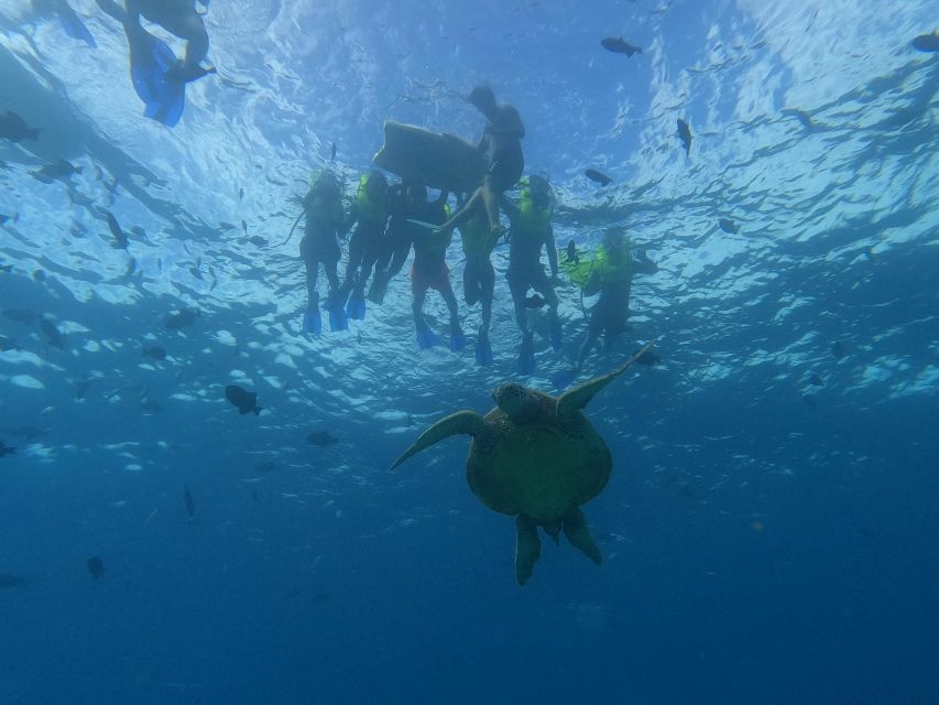 Oahu Snorkeling with Turtles, Water Scooter, Paddleboard - The electric water scooter, fun factor with a practical caveat