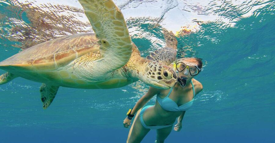 Oahu Snorkeling with Turtles, Water Scooter, Paddleboard - Paddleboarding in open water, great views, check equipment details