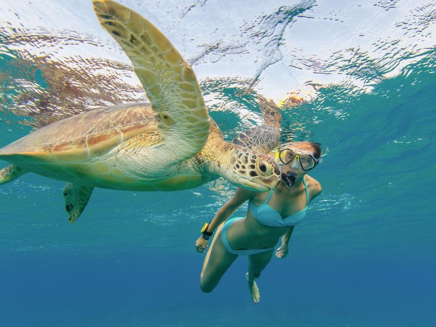 Oahu Snorkeling with Turtles, Water Scooter, Paddleboard - Should you book for guaranteed turtles, scooter fun, or photos?