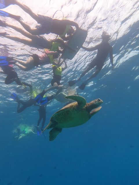 Oahu Snorkeling with Turtles, Water Scooter, Paddleboard - Tips to get the best day from this 2-hour plan