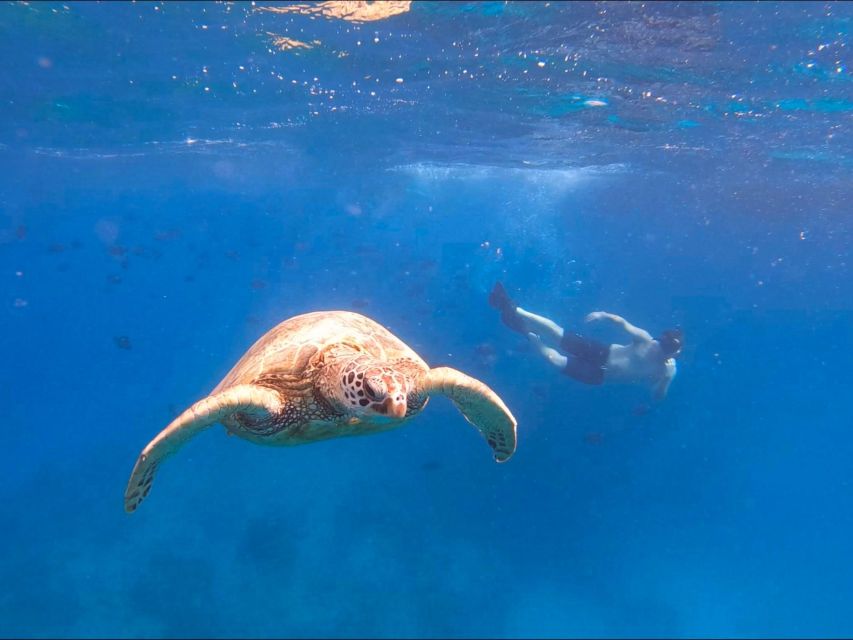 Oahu Snorkeling with Turtles, Water Scooter, Paddleboard - My quick verdict: book it if turtles are the mission