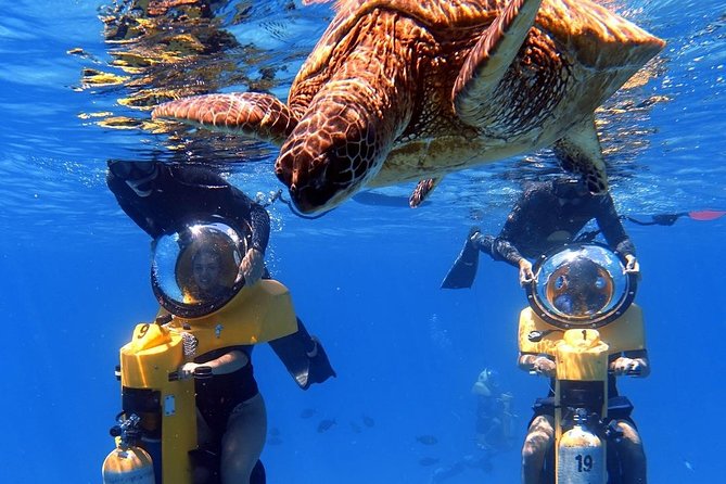 Oahu: Submarine Scooter Adventure - Key Things I’d Bet You’ll Enjoy