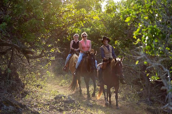 Oahu Sunset Horseback Ride - 6 Key Points to Know Before You Saddle Up
