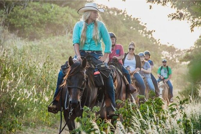 Oahu Sunset Horseback Ride - Horses and Guides: Beginner Care That Makes a Difference