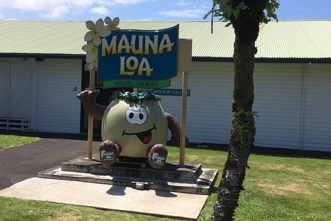 Oahu to Big Island : Big Island Volcano Helicopter Tour & Hilo 1 Day Tour - 45 minutes in the helicopter over Hilo: what you should expect