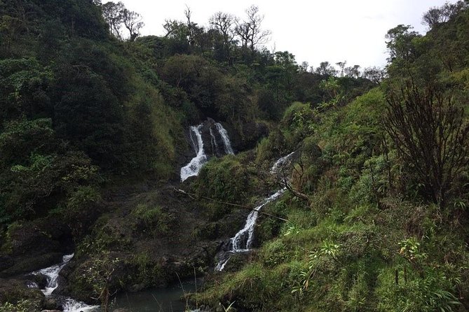 Oahu to Maui 1 Day Trip : Road to Hana Day Trip from Oahu with Air Ticket - From Daniel K. Inouye to Safeway: The Morning Flow