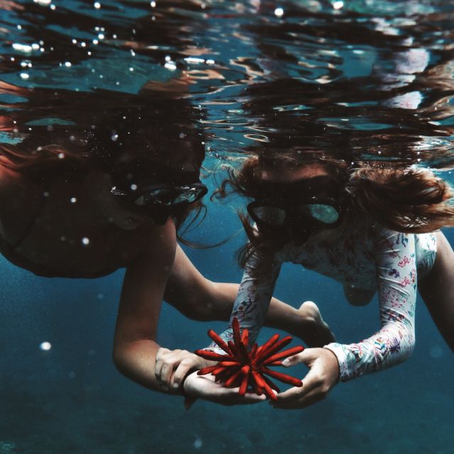 Oahu: Turtle Canyon Snorkeling Boat Tour - Meeting at Pier B and Getting Up to Speed Fast