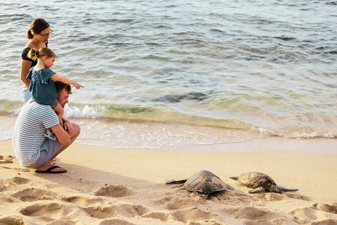 Oahu Ultimate Circle Island: 30 Spots, 10 Epic Stops - The east side and turtle beach areas: Laniakea, Hawaii Kai, and the “maybe” factor