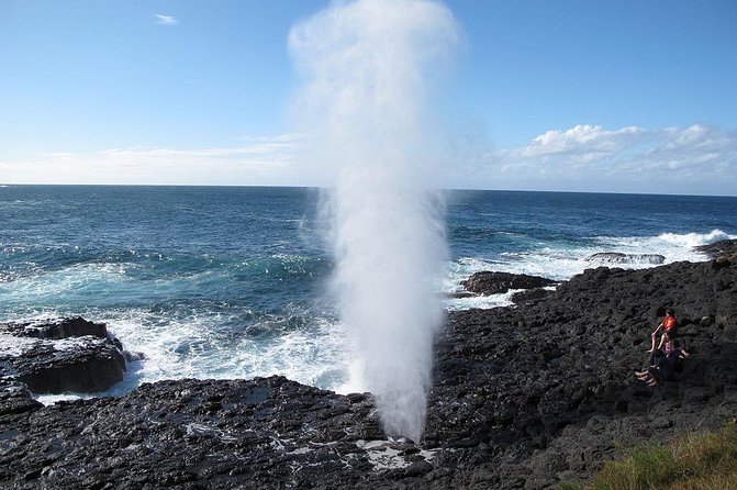 Oahu Ultimate Circle Island Tour Full Day Experience - Kahuku shrimp and how the lunch stop actually works
