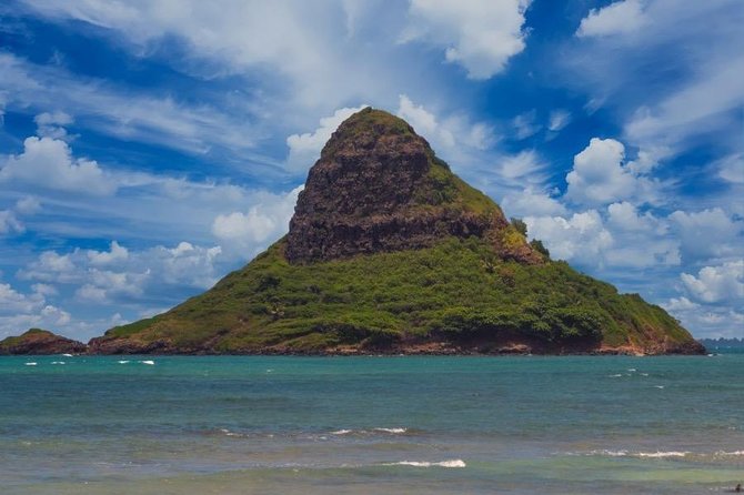 Oahu Ultimate Circle Island Tour Full Day Experience - North Shore sea turtles: the hour that people talk about