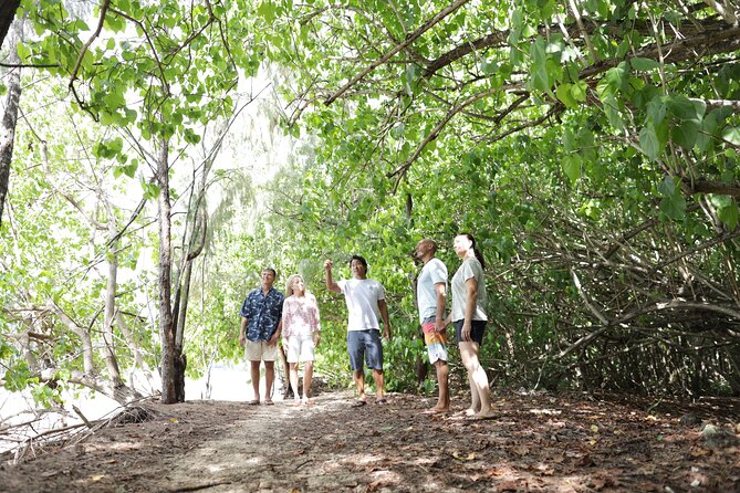 Oahu Uncovered: Full Island Tour with a Local Guide - Price and what you really get for $218