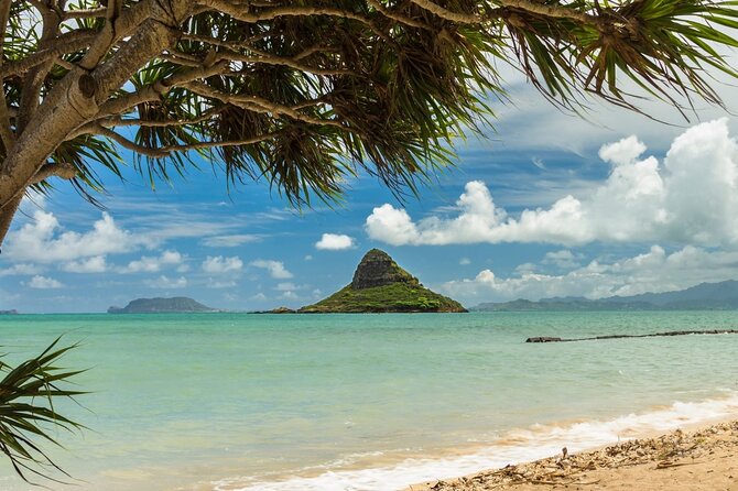Oahu Unveiled: Tailored Luxury Private Island Tour - Morning logistics that matter: pickup, pacing, and customization