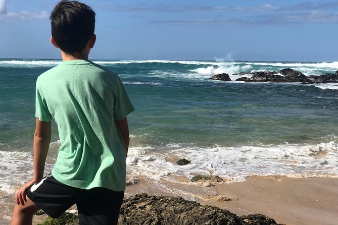 Oahu Unveiled: Tailored Luxury Private Island Tour - North Shore in full color: Haleiwa, Waimea Bay, Sunset Beach, and turtle chances