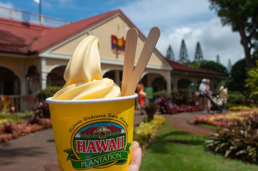 Oahu: Valley of Waimea Falls Swim & Hike with Lunch & Dole - Waimea Valley on Oahu, why this outing works