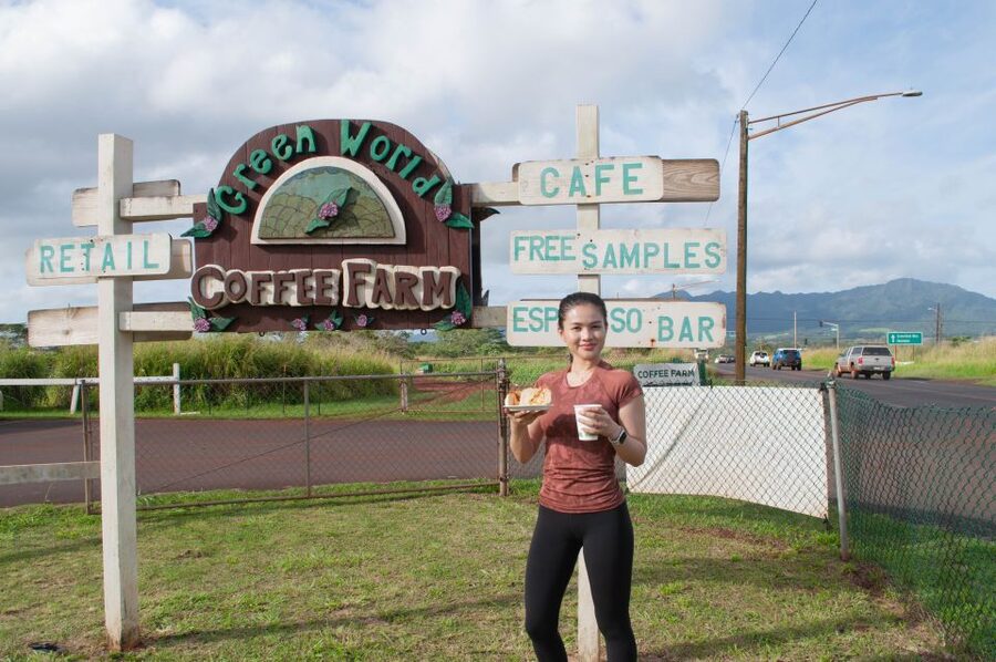 Oahu: Valley of Waimea Falls Swim & Hike with Lunch & Dole - The 1.5-mile Waimea Valley hike, gardens plus Hawaiian details