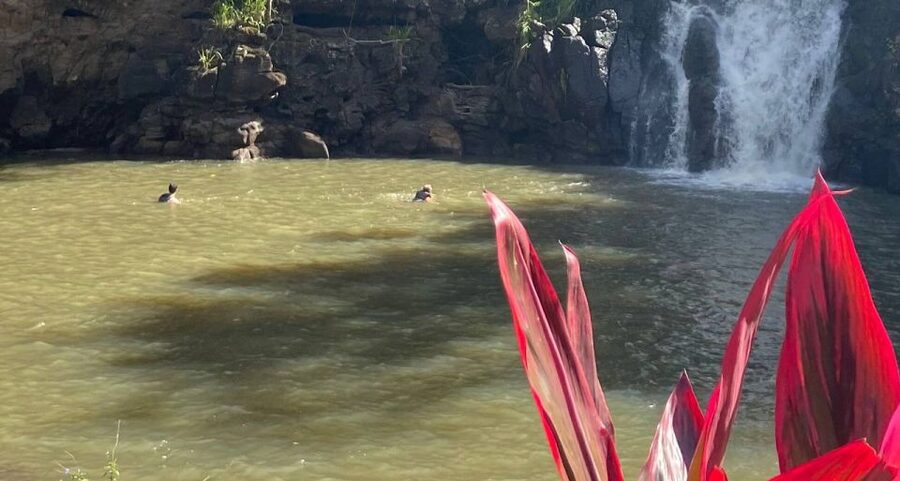 Oahu: Valley of Waimea Falls Swim & Hike with Lunch & Dole - Waimea Falls swim, what it’s like and how to do it safely