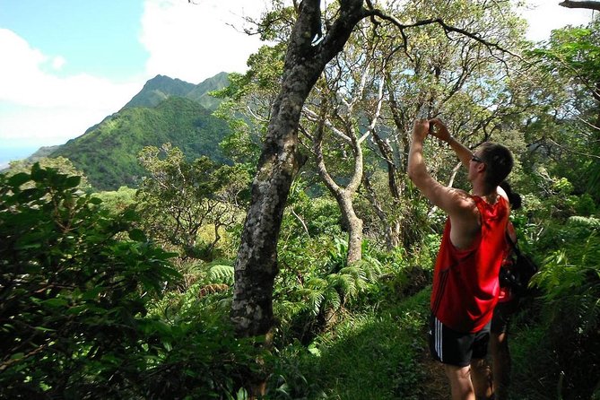 Oahu Volcanic Rainforest Hiking Adventure - Key highlights in quick bites