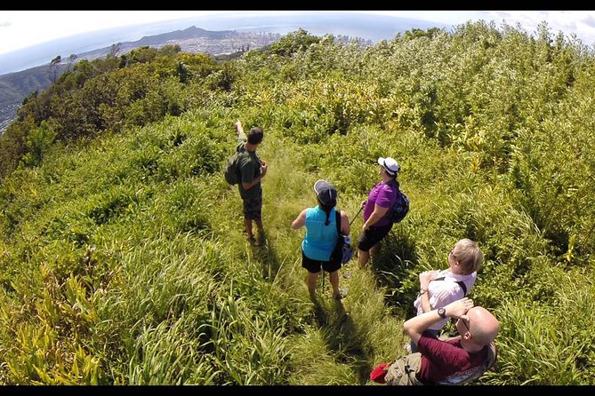 Oahu Volcanic Rainforest Hiking Adventure - Why this Oahu volcanic rainforest hike feels different from a beach day