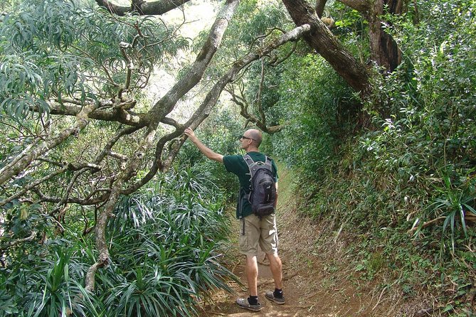 Oahu Volcanic Rainforest Hiking Adventure - Waterfalls, streams, pools, and the photo moment at the end
