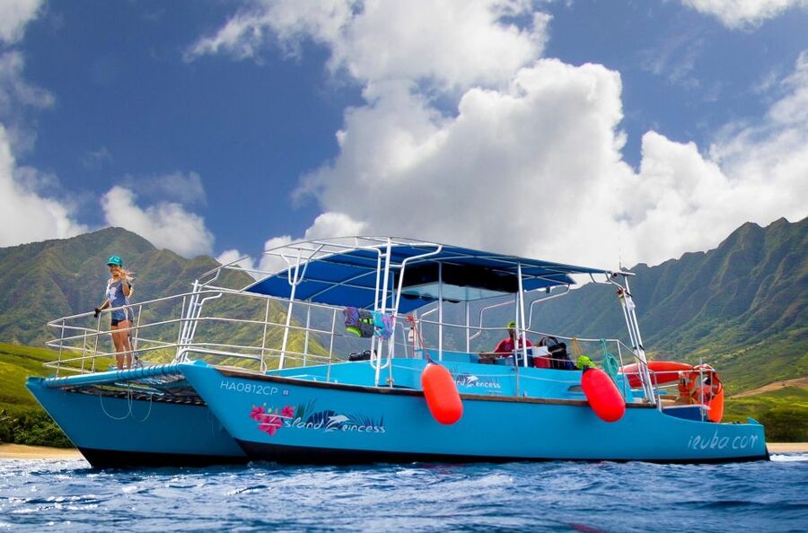 Oahu: Waikiki BYOB Sunset Cruise - Who This Cruise Suits Best, and Who Should Reconsider