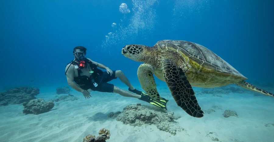 Oahu: Waikiki Discovery Scuba Diving for Beginners - Getting to Front Row, Slip F8, and What Happens on the Boat