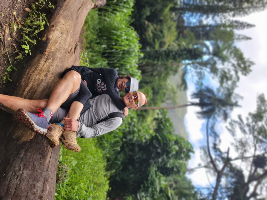 Oahu: Waikiki E-Bike Ride and Manoa Falls Hike - Food and the optional shave ice finale