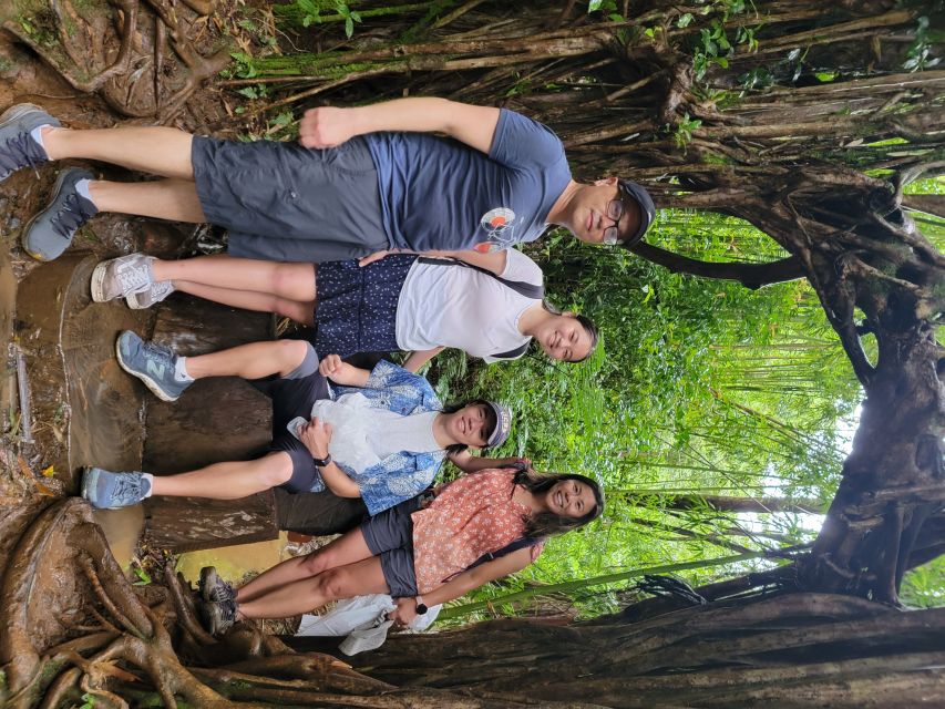 Oahu: Waikiki E-Bike Ride and Manoa Falls Hike - The guided hike to Manoa Falls: rainforest walking, real steps, real payoff