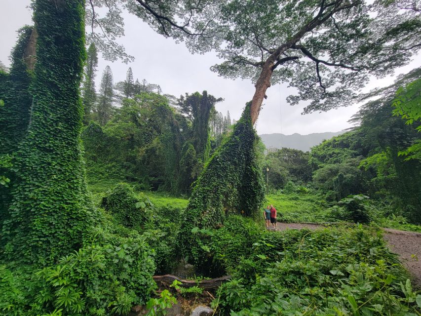 Oahu: Waikiki E-Bike Ride and Manoa Falls Hike - Ryan’s style: pacing, helmet communication, and photo help