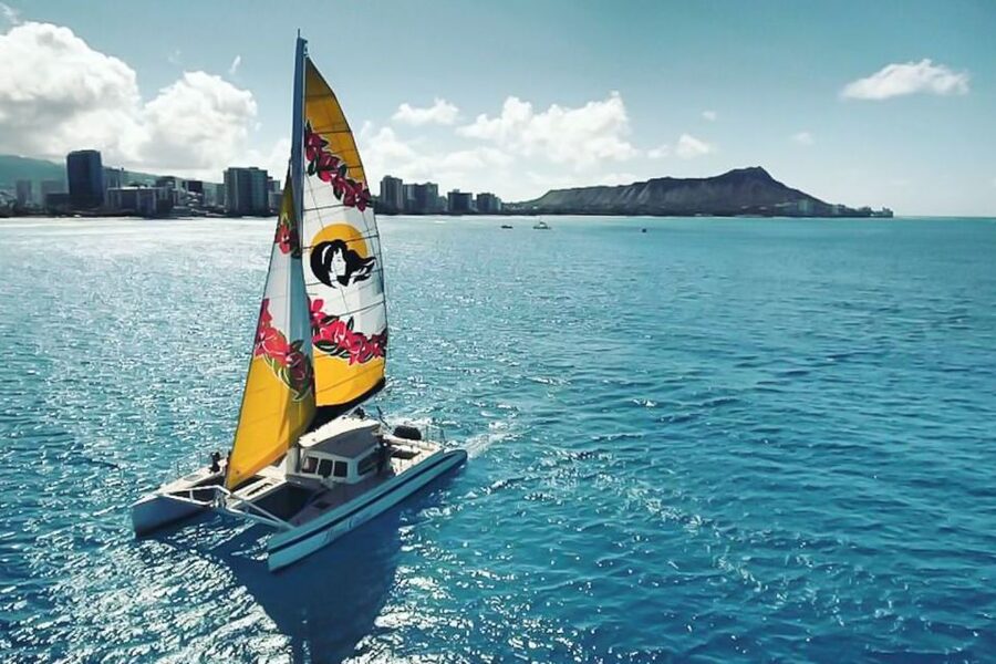 Oahu: Waikiki Eco-Friendly Morning Whale Watching Cruise - The 2-Hour Catamaran Experience Along Waikiki