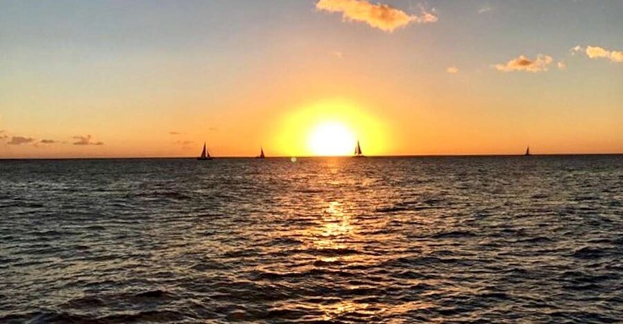 Oahu: Waikiki Glass Bottom Boat Sunset Cruise - The Haleiwa Queen Catamaran: Comfort That Matters at Sunset