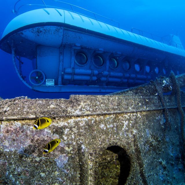 Oahu: Waikiki Submarine Tour - The boat transfer and the first submarine segment under Waikiki