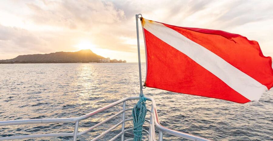 Oahu: Waikiki Turtle Canyons Cruise and Snorkel Excursion - The Short Coast Cruise: Sightseeing for Dolphins and Winter Whales