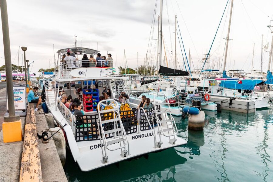 Oahu: Waikiki Turtle Canyons Cruise and Snorkel Excursion - Turtle Canyons Time: Safety Coaching and Your Snorkel Setup