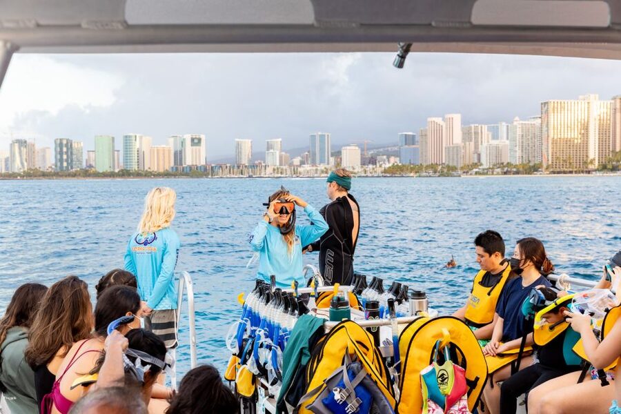 Oahu: Waikiki Turtle Canyons Cruise and Snorkel Excursion - Sea Turtles and Reef Fish Up Close: What the Experience Feels Like
