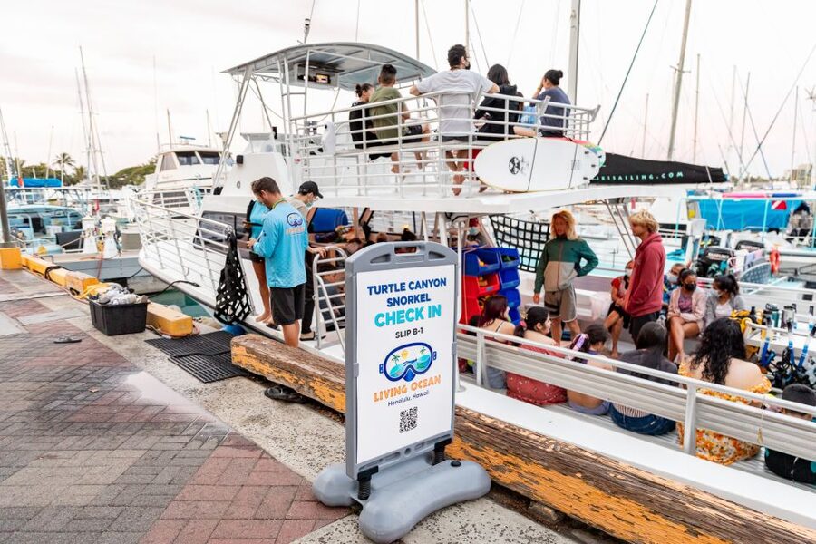 Oahu: Waikiki Turtle Canyons Cruise and Snorkel Excursion - Snorkeling Tips That Make Staying Close to Turtles Easier