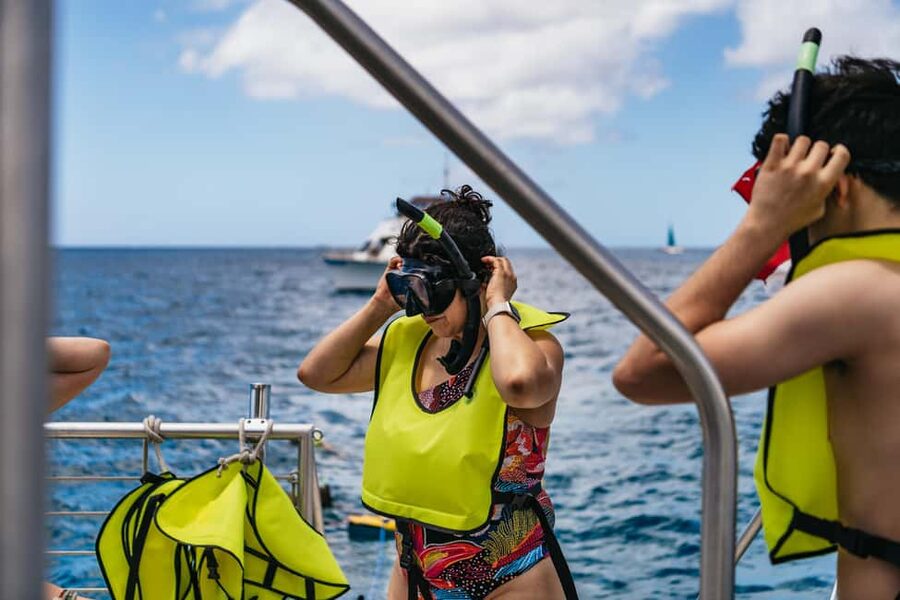 Oahu: Waikiki Turtle Snorkel Sail - Key Things I’d Bet You’ll Notice