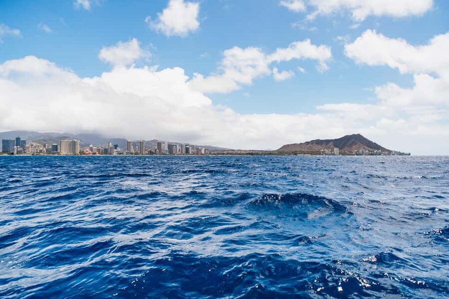 Oahu: Waikiki Turtle Snorkel Sail - Crew That Actually Guides: Names, Patience, and a Safety-First Mindset