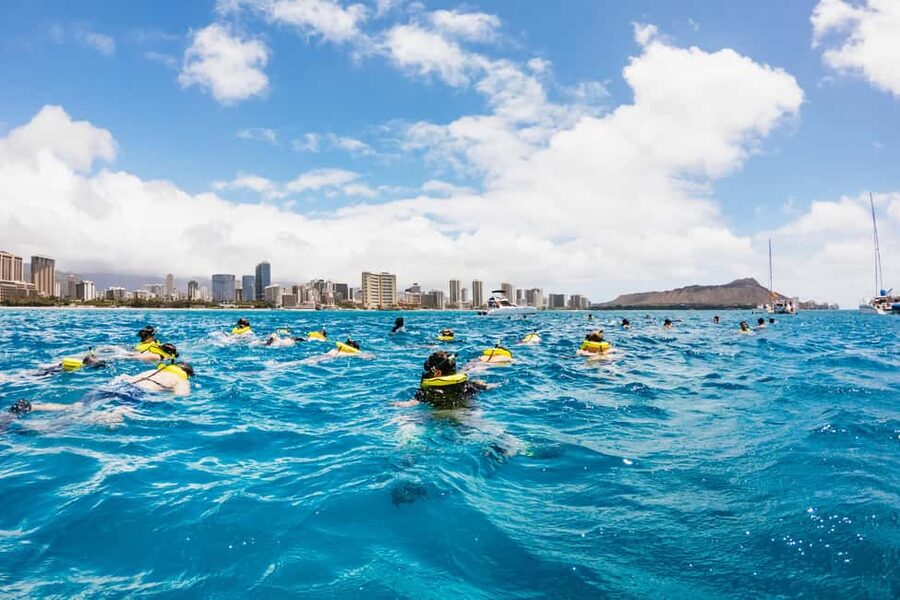 Oahu: Waikiki Turtle Snorkel Sail - Price and Value: Why $99 Includes More Than It Seems