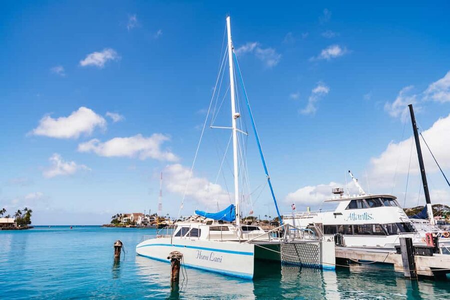 Oahu: Waikiki Turtle Snorkel Sail - Getting to Kewalo Basin, Finding Honu Lani, and Showing Up Ready