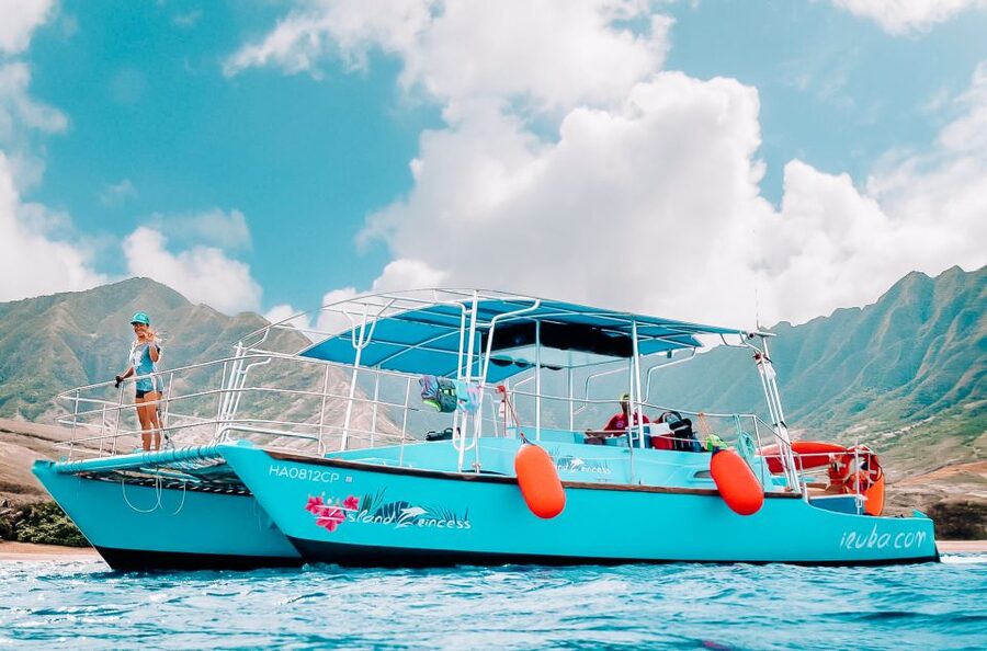 Oahu: Waikiki Turtle Snorkeling Adventure - Snorkel gear, life jackets, and comfort details that matter