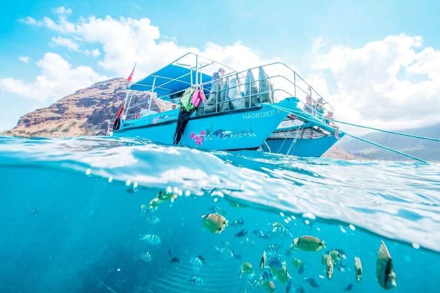 Oahu: Waikiki Turtle Snorkeling Adventure - Seasickness and the easy prep step