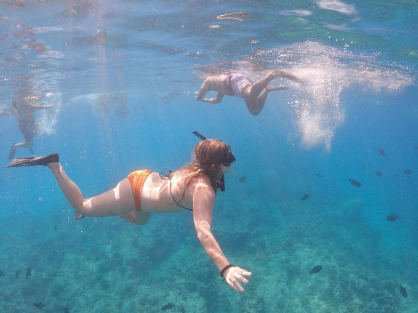 Oahu: Waikiki Turtle Snorkeling Adventure Cruise - Key highlights I’d plan around